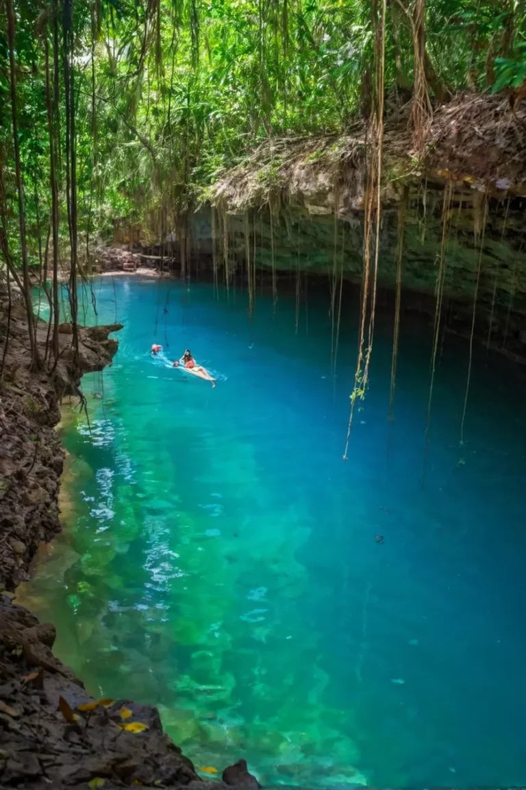 Cenote en Yucatán con agua turquesa y vegetación abundante