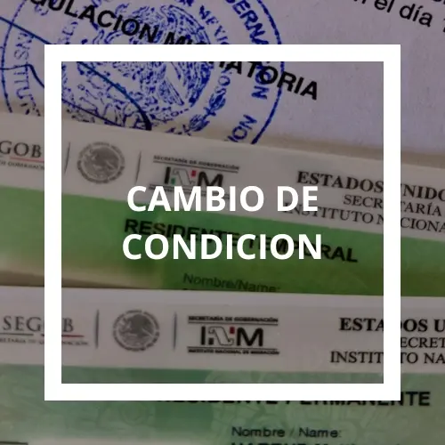 Banner de Cambios de Condición de Asesoría Migratoria Querétaro