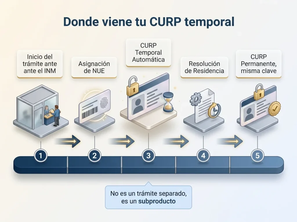 Por Qué Tu CURP de Residente Temporal No Se Tramita 2 Línea de tiempo mostrando cómo el NUE del INM genera la CURP temporal automática hasta volverse permanente