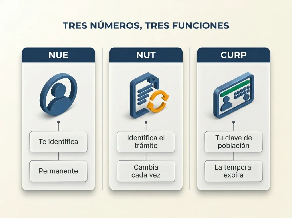 Infografía comparando NUE, NUT y CURP con tres tarjetas lado a lado, íconos y la función que identifica cada número