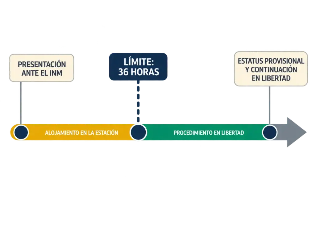 ¿Te Llevaron a una Estación Migratoria? Tus Derechos 5 Línea de tiempo horizontal desde la presentación hasta la resolución migratoria, marcando el corte constitucional de las 36 horas y lo que debe ocurrir en cada tramo