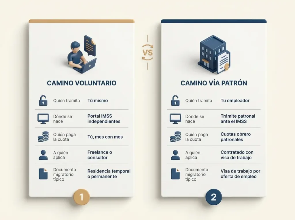 Por Qué el FMM No Basta Para el IMSS de Extranjeros 3 Infografía comparando el alta al IMSS por camino voluntario vs. vía patrón para extranjeros en México con 5 filas de comparación
