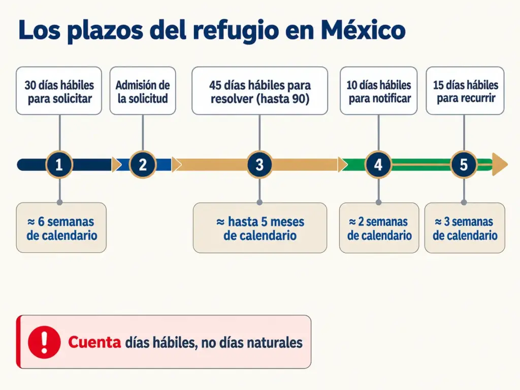 ¿Refugiado o Asilo Político? Cuál te Toca en México 6 Línea de tiempo con los cuatro plazos del trámite de refugio en días hábiles y su equivalencia en semanas de calendario