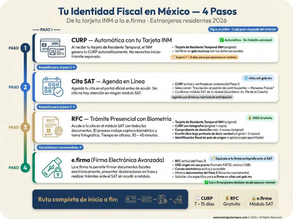 Los 4 pasos para la identidad fiscal en México como extranjero: CURP automática con tarjeta INM, cita SAT, RFC presencial y e.firma con USB virgen, con íconos y documentos requeridos por paso.