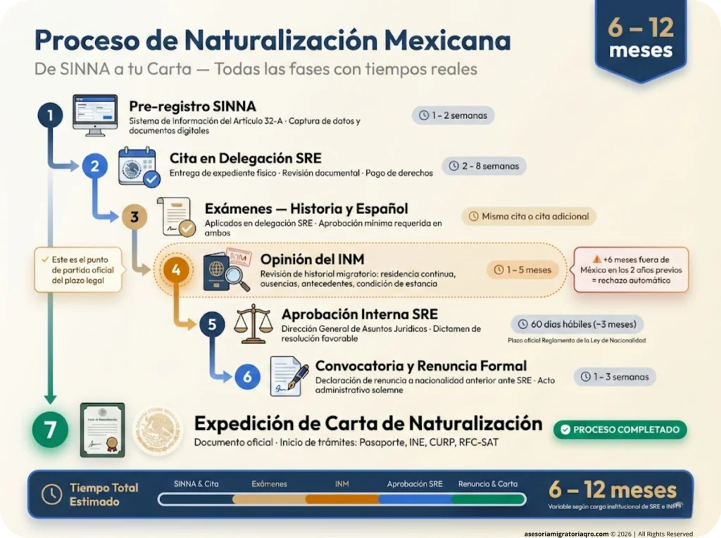 Diagrama de flujo completo del proceso de naturalización mexicana: 7 fases desde Pre-registro SINNA hasta Expedición de Carta, con tiempos estimados por etapa y total de 6-12 meses.