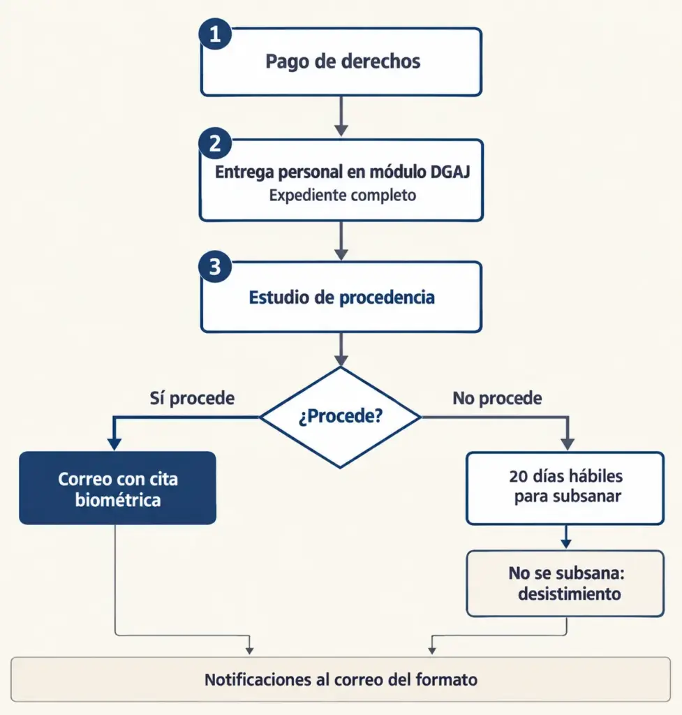 Diagrama de flujo del certificado de nacionalidad: pago, entrega en la DGAJ, estudio, cita biométrica o 20 días para subsanar
