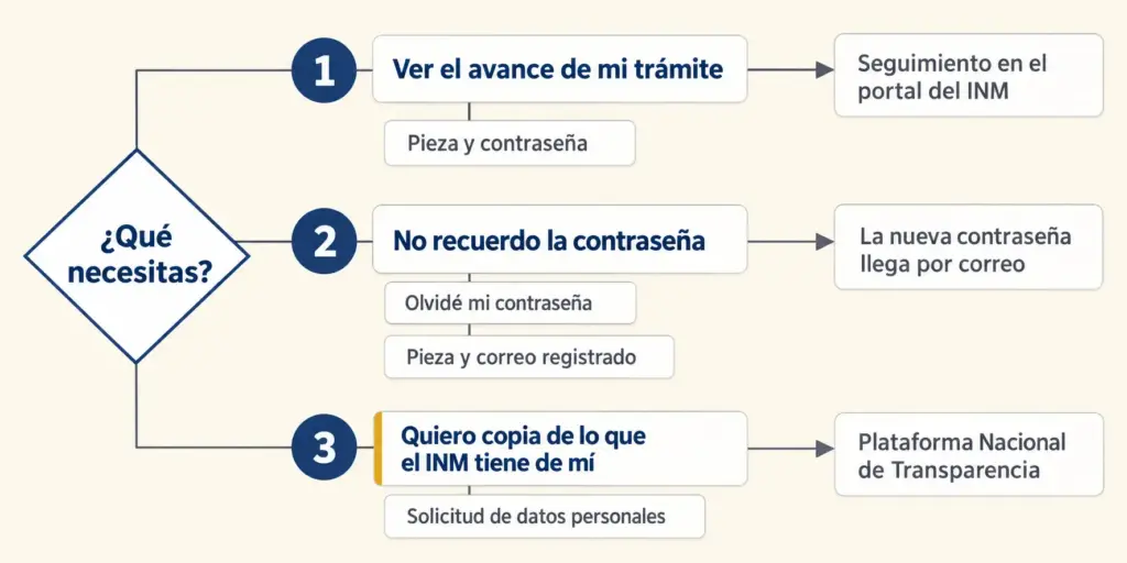 Cómo Consultar Tu Expediente Digital del INM en Línea 2 Diagrama de tres vías del INM: seguimiento con pieza y contraseña, recuperar contraseña por correo y copia de datos en la PNT