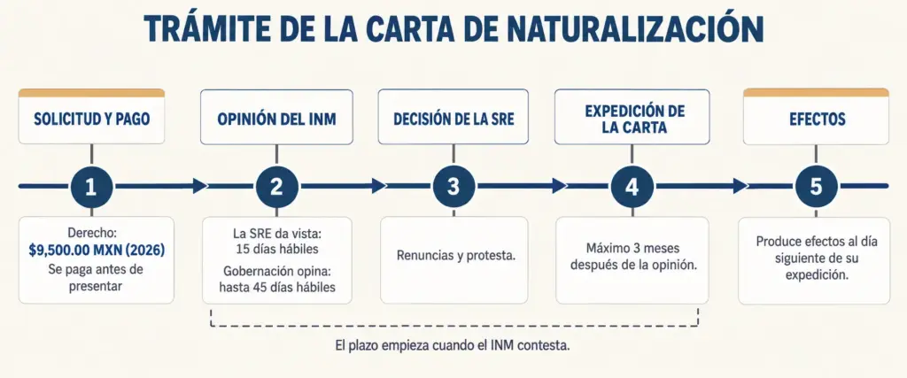Línea de tiempo de la carta de naturalización: pago, opinión del INM, protesta, expedición y efectos al día siguiente