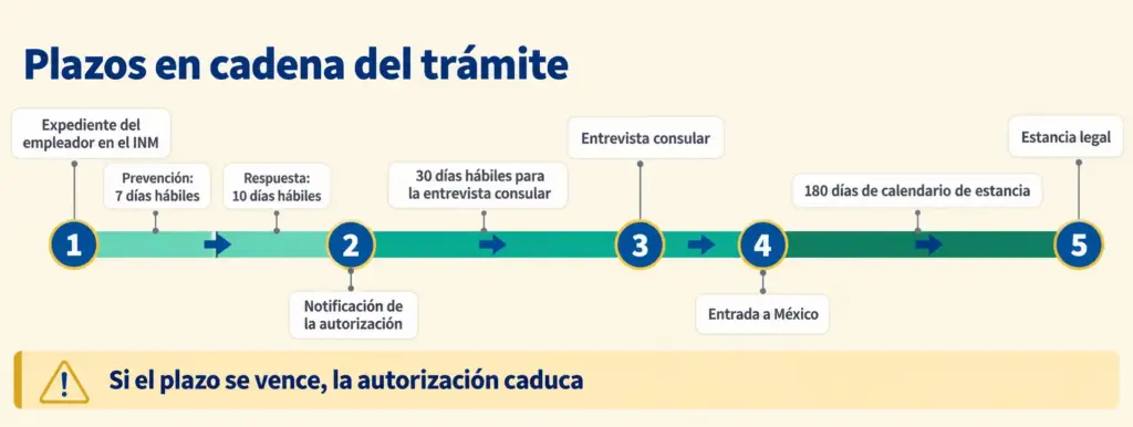 Visa de Visitante con Permiso para Trabajar en 5 Pasos 4 Línea de tiempo del trámite: prevención del INM en 7 días hábiles, 30 días para el consulado y 180 días de estancia
