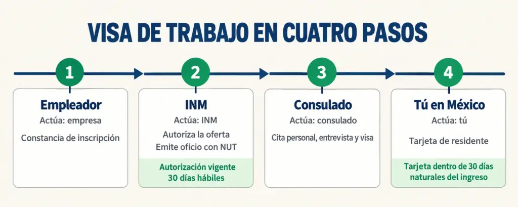 Requisitos para la Visa de Trabajo en México 2026 2 Línea de tiempo de la visa de trabajo en cuatro pasos: empresa, INM, consulado y tarjeta de residente, con plazos oficiales